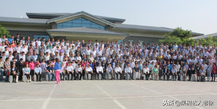 樱桃好吃树难栽，已经过时了，关键是要掌握好这些标准管理技术