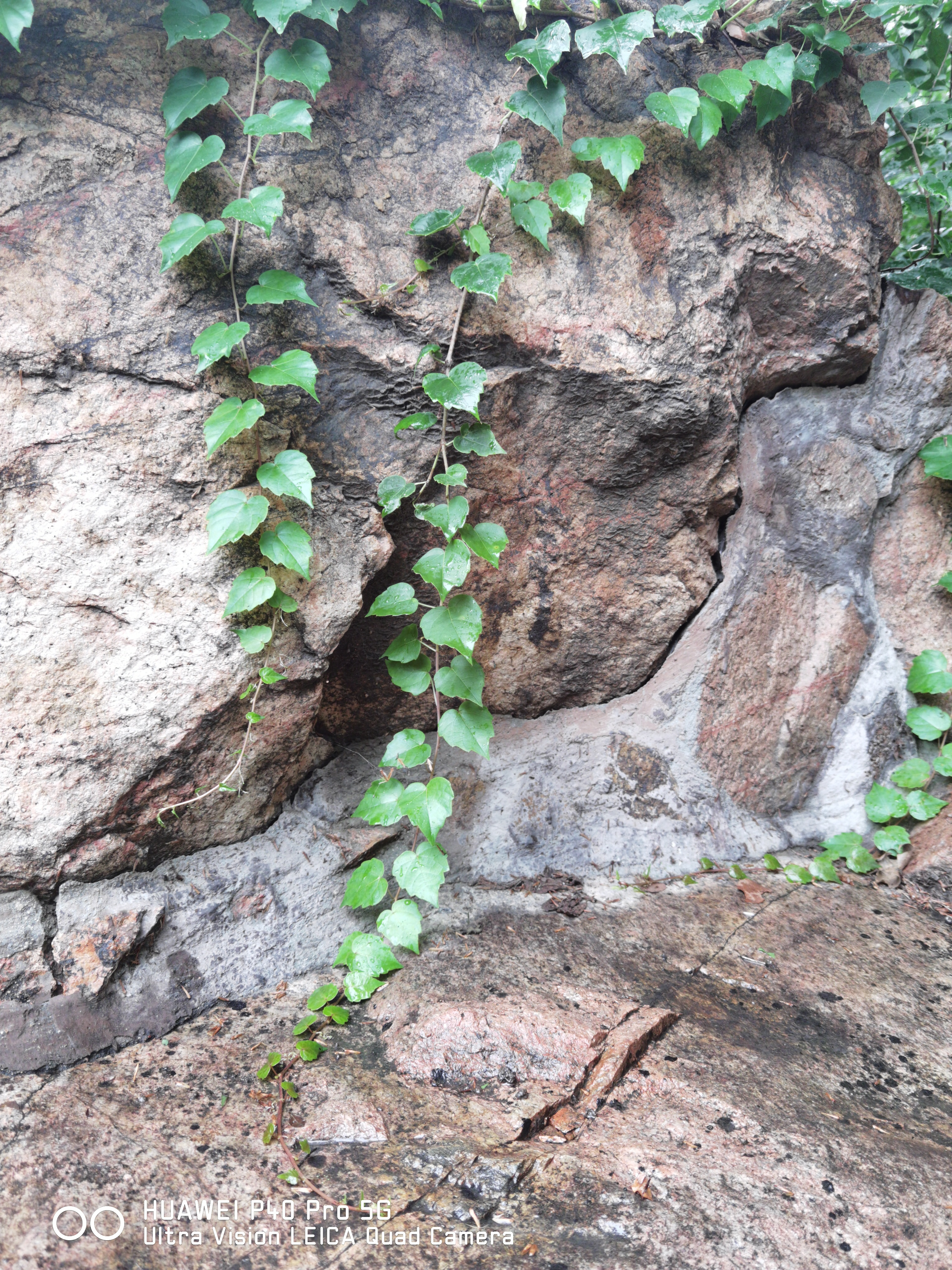 华为p50pro实测,华为p50pro变焦测试