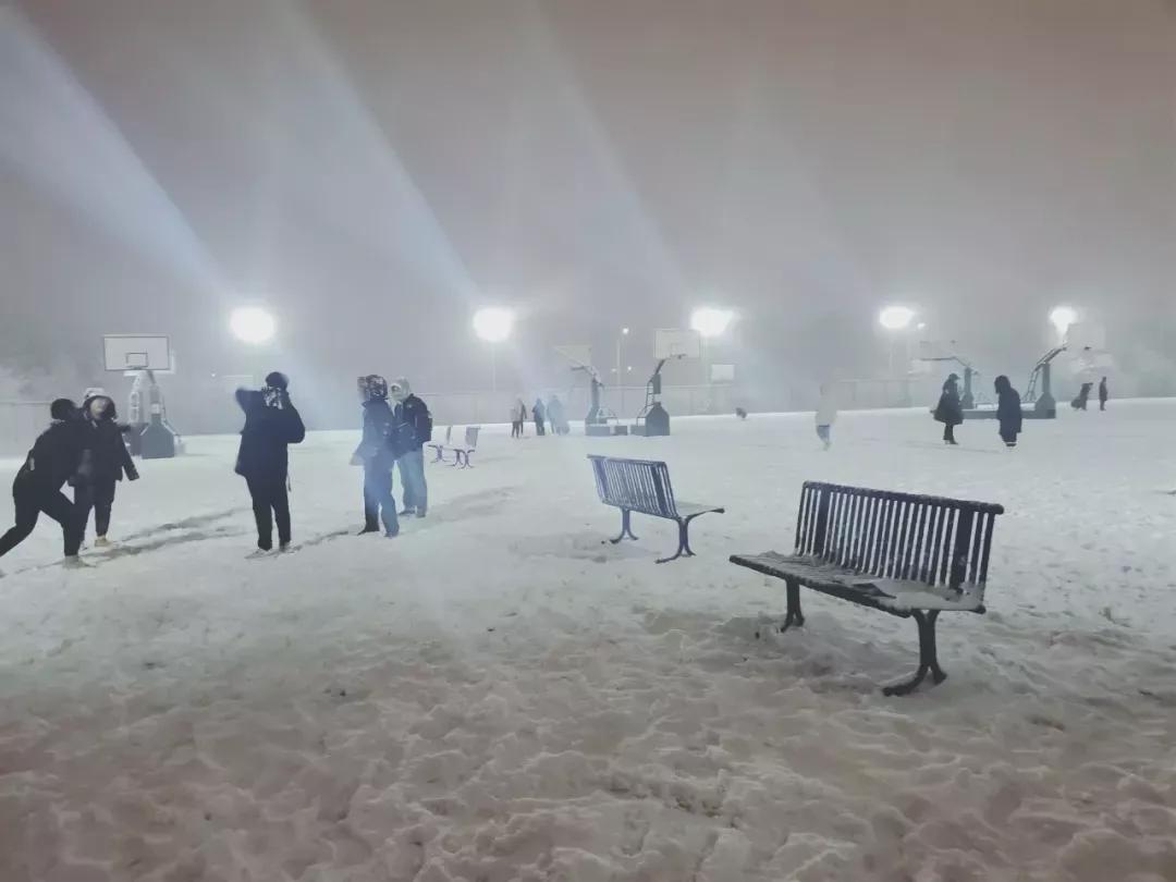 辽宁中医药大学杏林学院规模,辽宁中医学院杏林学院的排名