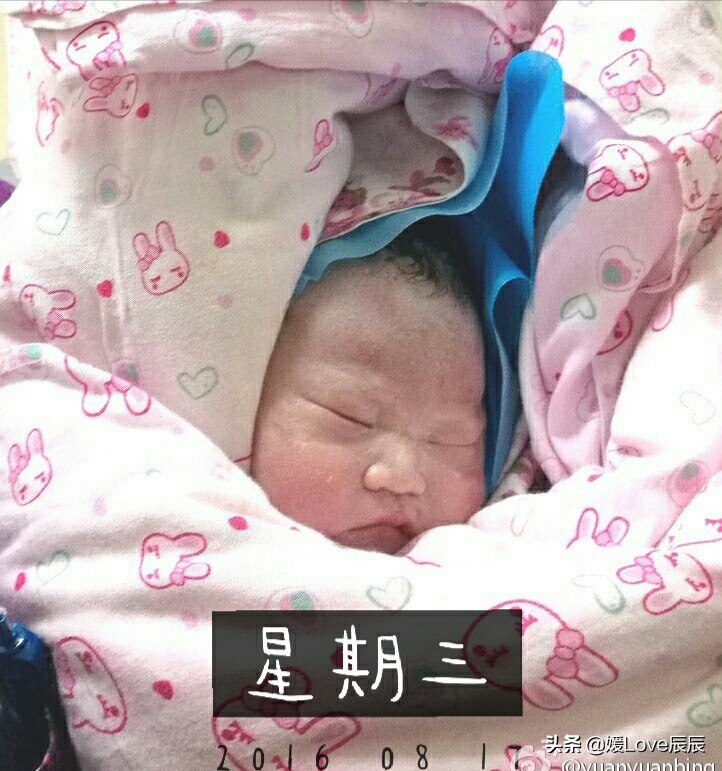 我是媛媛所有视频,我是媛媛完整视频