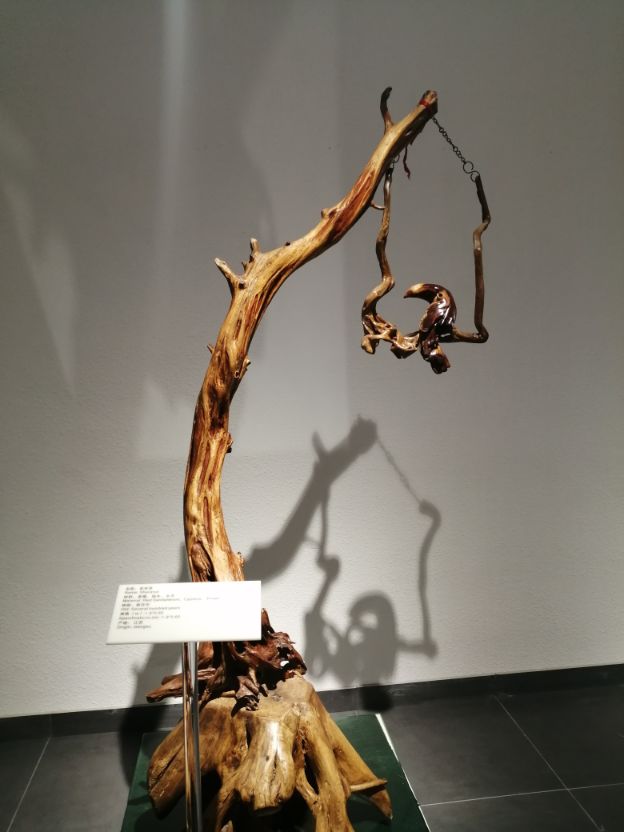 根雕作品欣赏竹子,精美根雕盆景图片欣赏