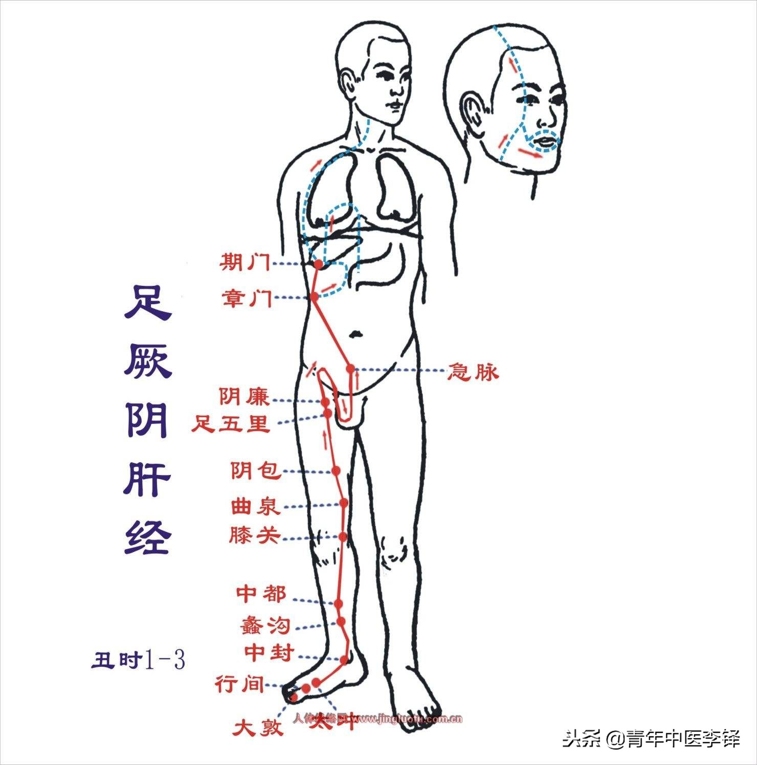痿证独取阳明的依据是什么,如何理解治疗痿独取阳明的原则
