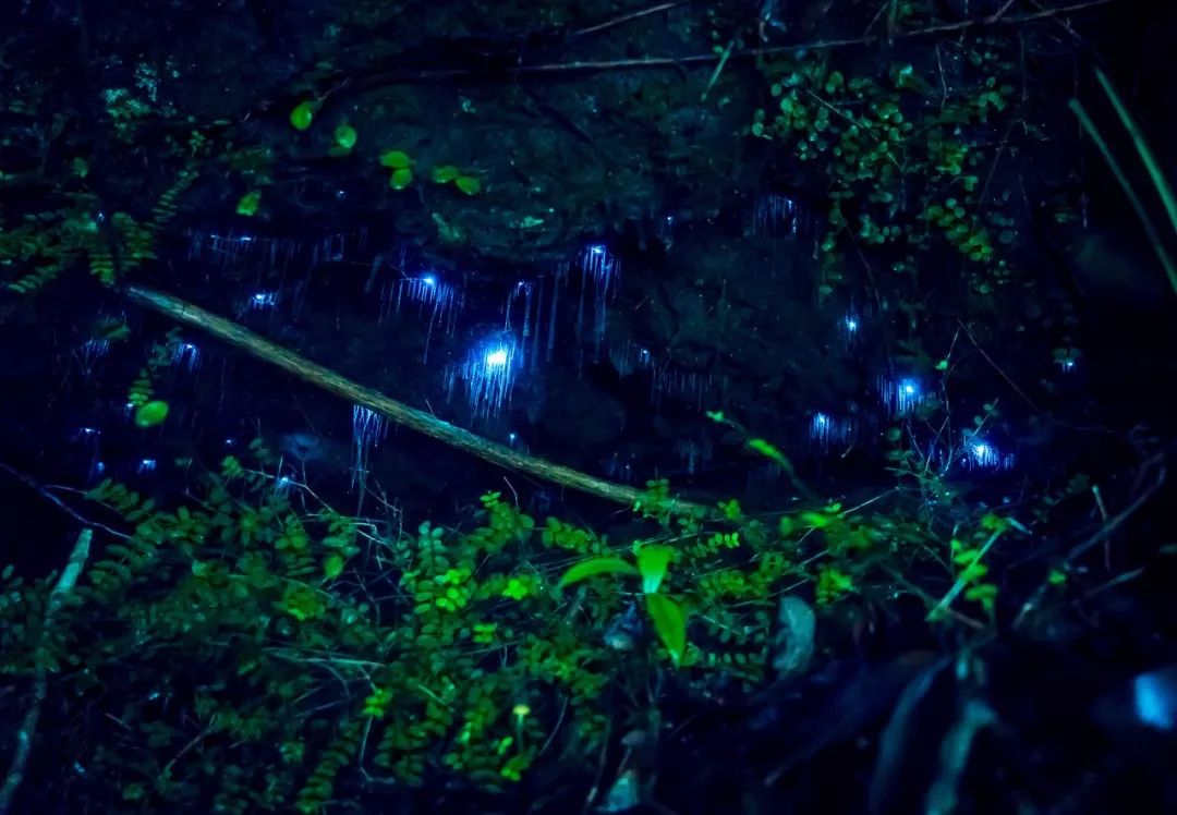 地球上长得最不像地球的地方,世界上最不像地球的地方景色