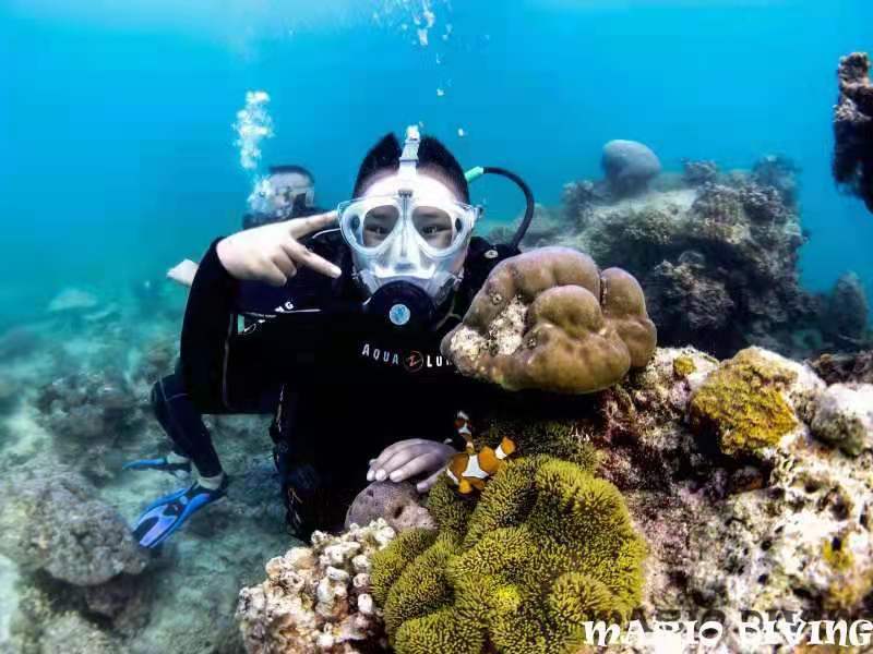 河南省象棋个人冠军董学涛,全国象棋大赛河南冠军