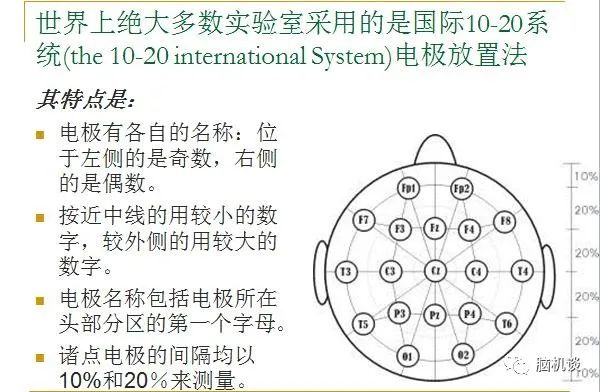 ​《脑机往事（3）—维达尔的秘密》