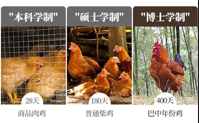 热烈庆祝入住一周年,热烈庆祝入驻新项目祝贺词