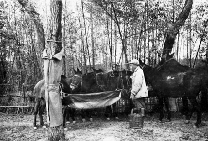 战地记者拍的照片,战地记者拍摄珍贵影像