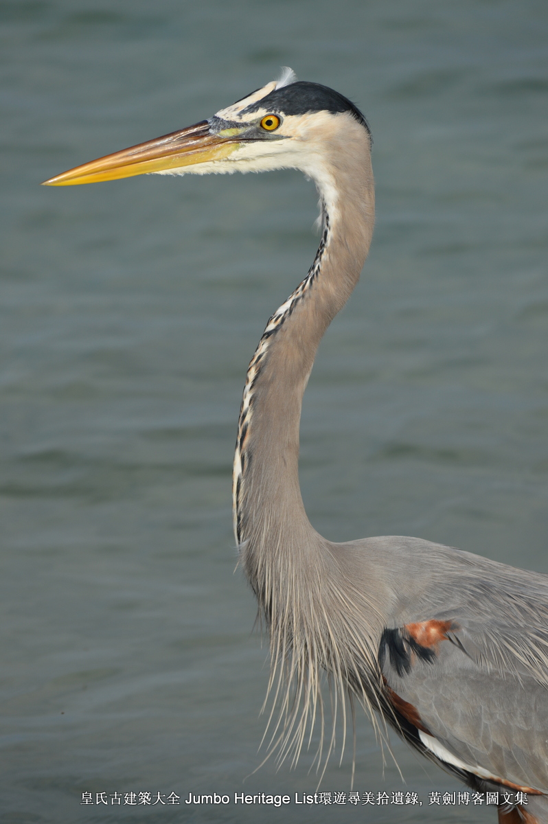 美洲杯帆船赛新西兰意大利,美洲杯帆船挑战赛程