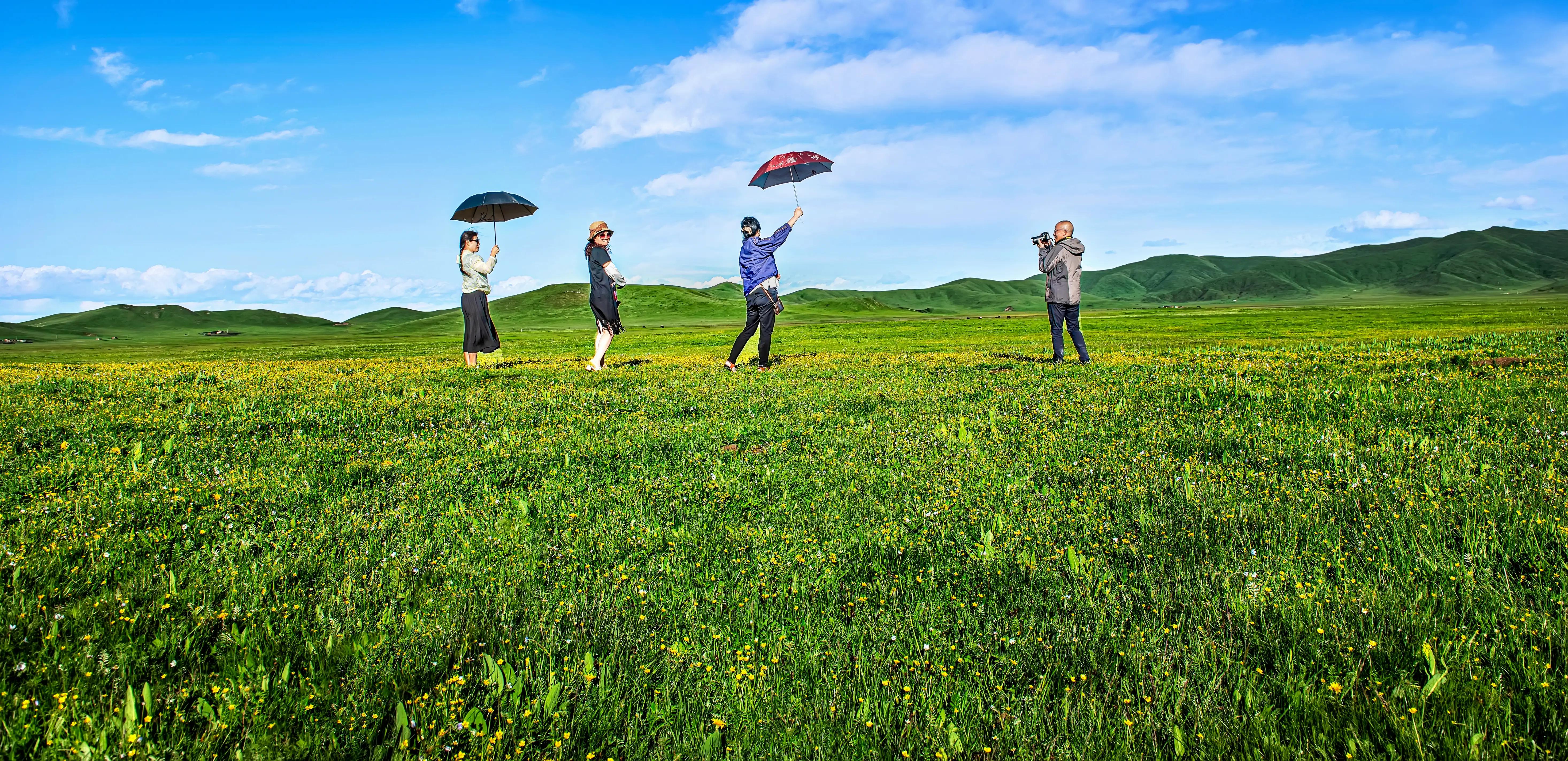 川西甘南十五日环线自驾游,甘南川西环游系列之四