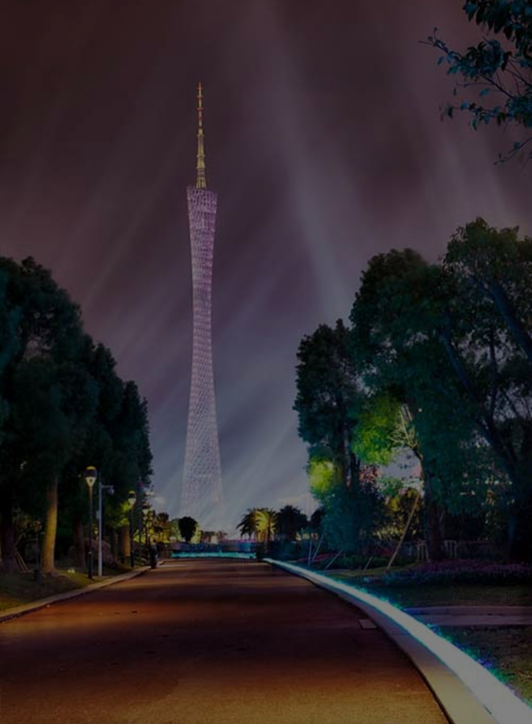 春雁古诗杜甫,官池春雁二首其一杜甫翻译