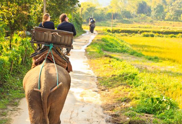 泰国防入坑自由行,泰国怎么防骗