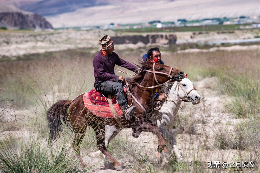 铁血雄鹰全剧,铁血雄鹰全文阅读