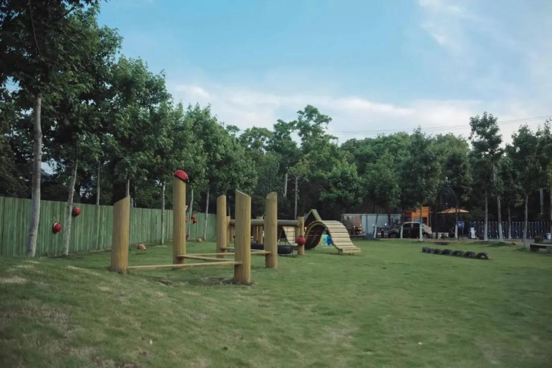 农村新型果园6亩赚钱方式,果园农场怎么赚钱