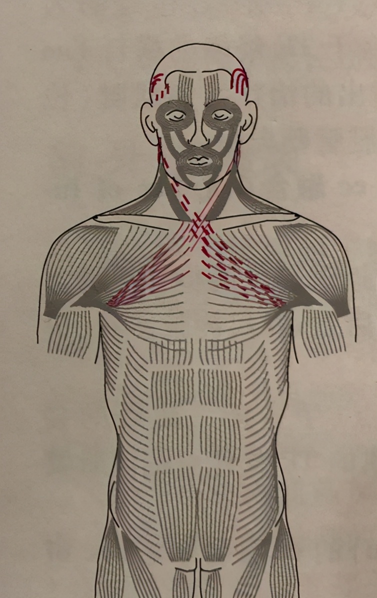 如何改善下颌大小脸,有效纠正脸歪的方法