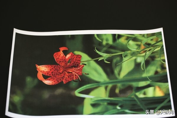 黑彩同速BrotherHL-L9310CDW彩色激光打印机评测