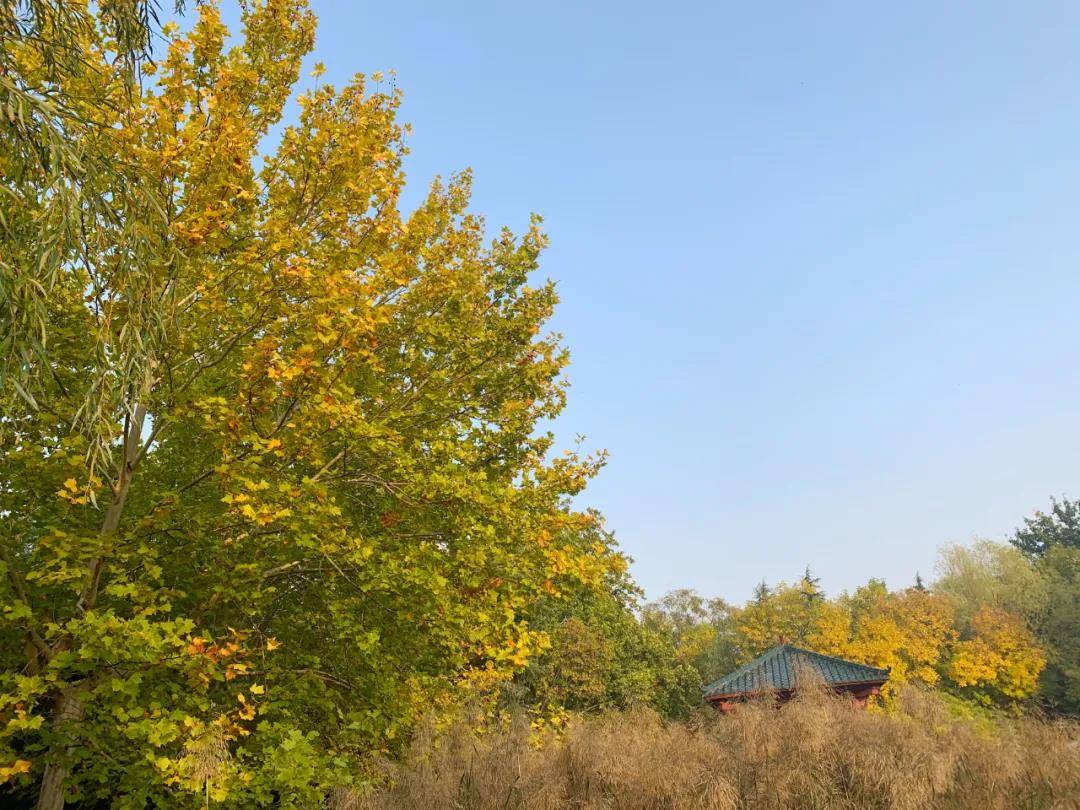 郑州出发黄河沿线自驾游最佳路线,郑州黄河自驾游攻略路线