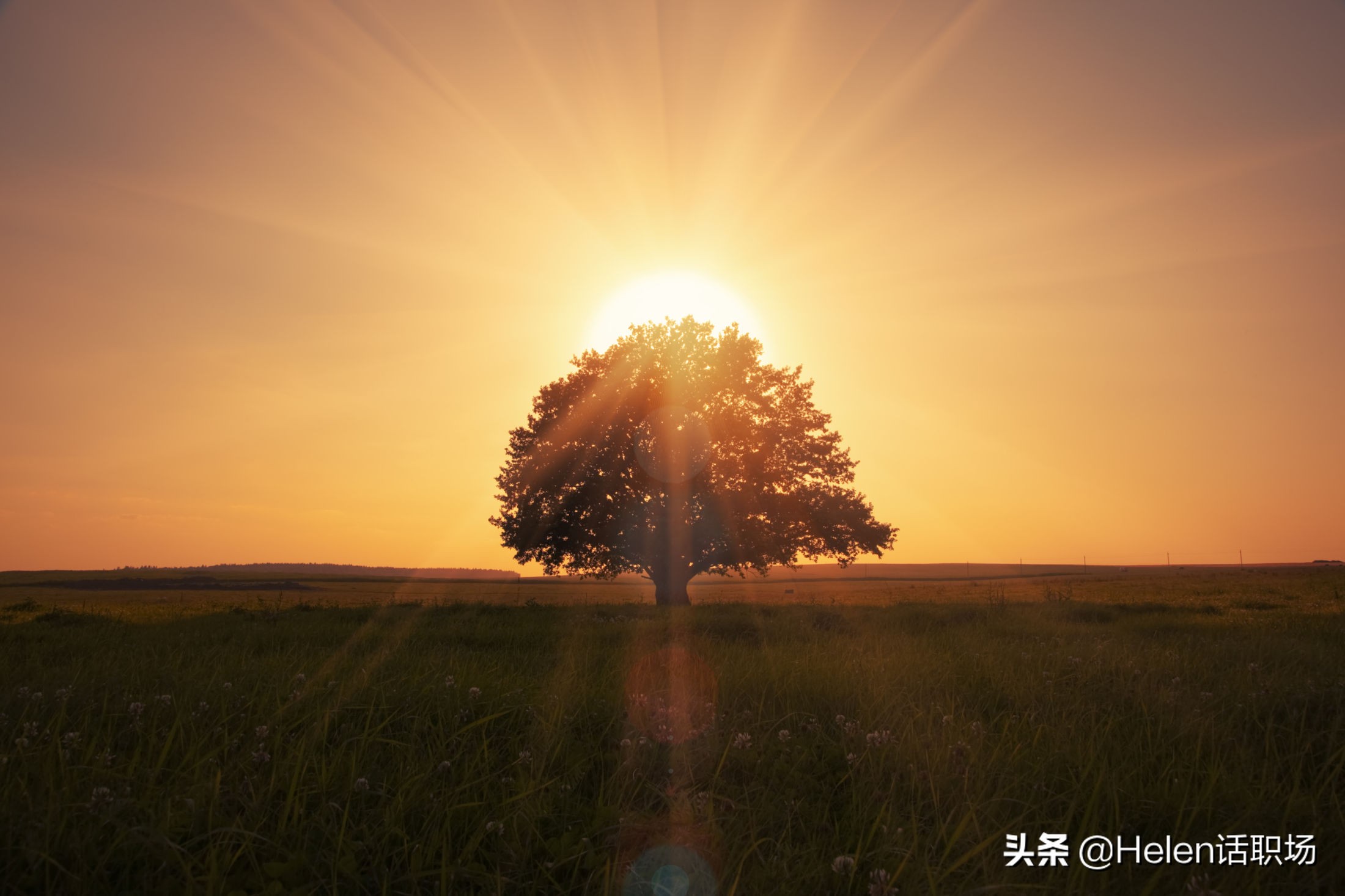 员工要求加薪，这是冲突还是机会？