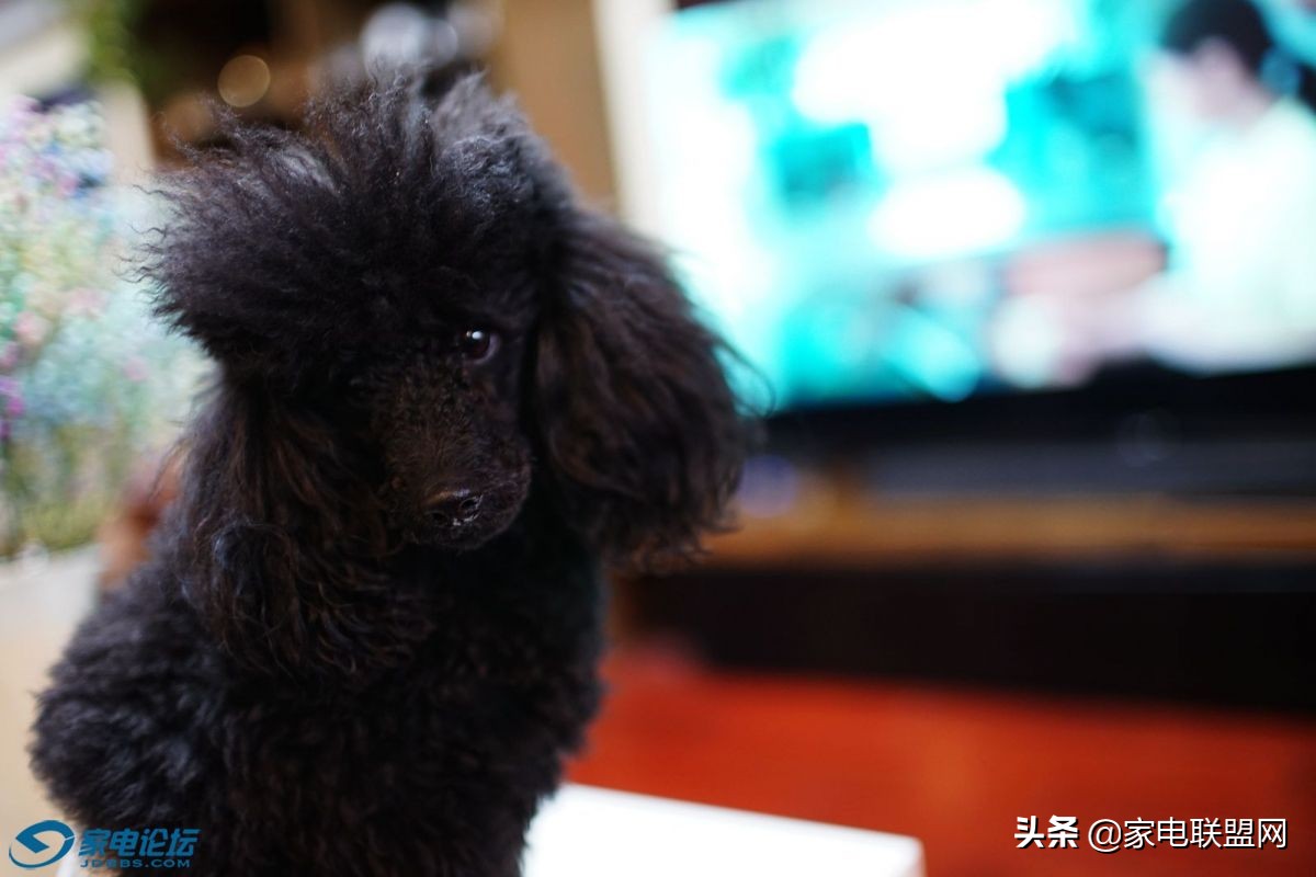 索尼ht-s500rf环绕音响,索尼ht-s500rf评测