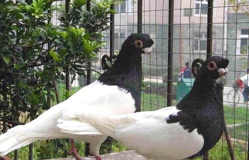 于谦谈玩物不丧志,郭德纲于谦相声圈