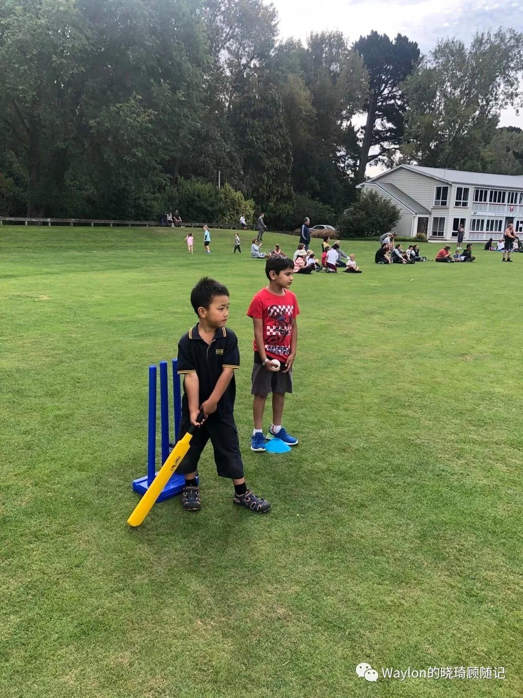 2019新西兰,2019年新西兰