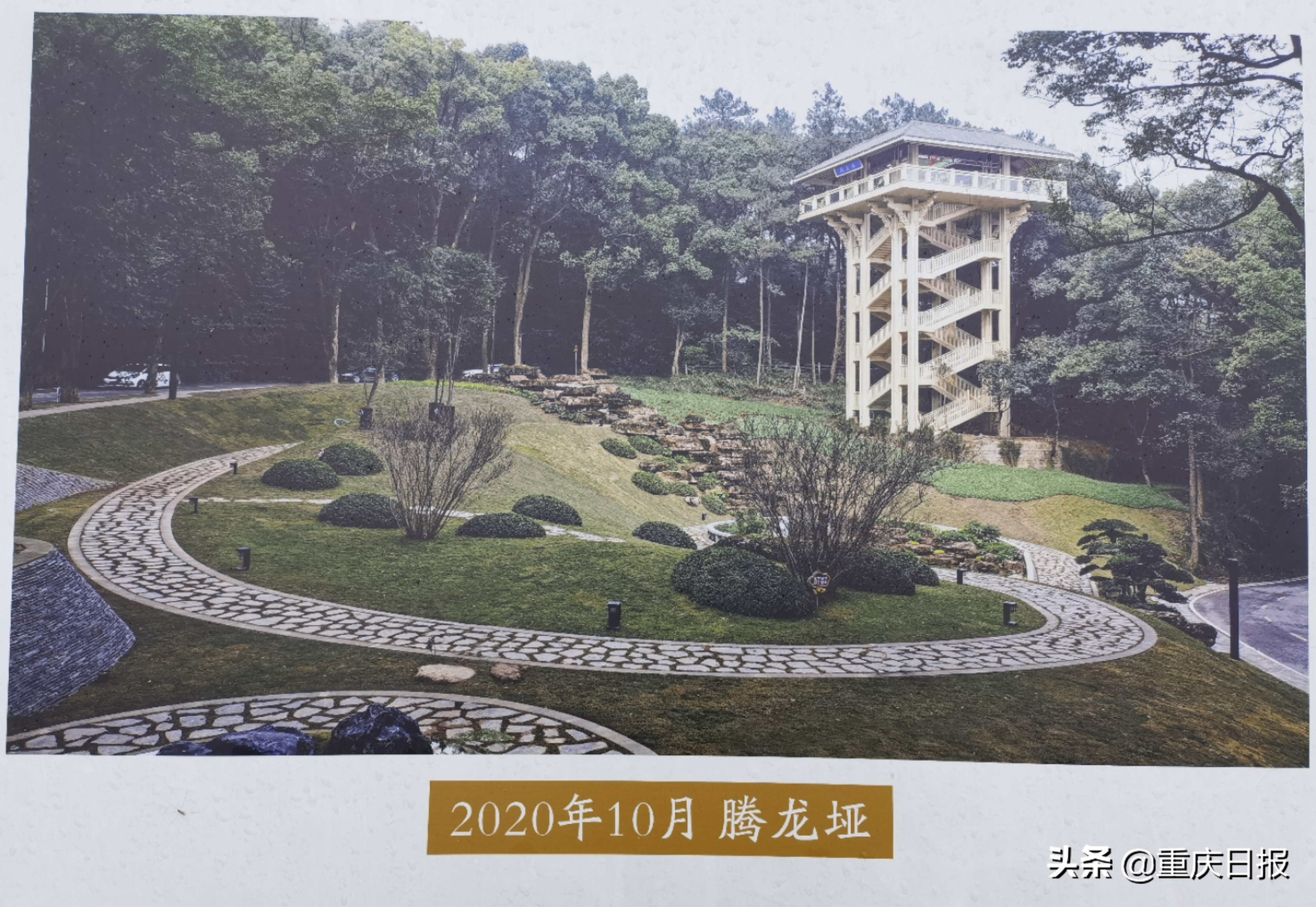 重庆领略山城旅游攻略,缙云山自然保护区整治