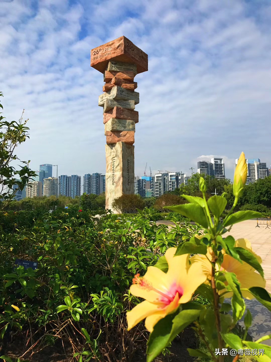 乘着地铁看海,乘地铁逛深圳