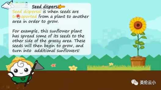 植物传播种子的方法有哪些二年级,我知道植物传播种子的方式有哪些