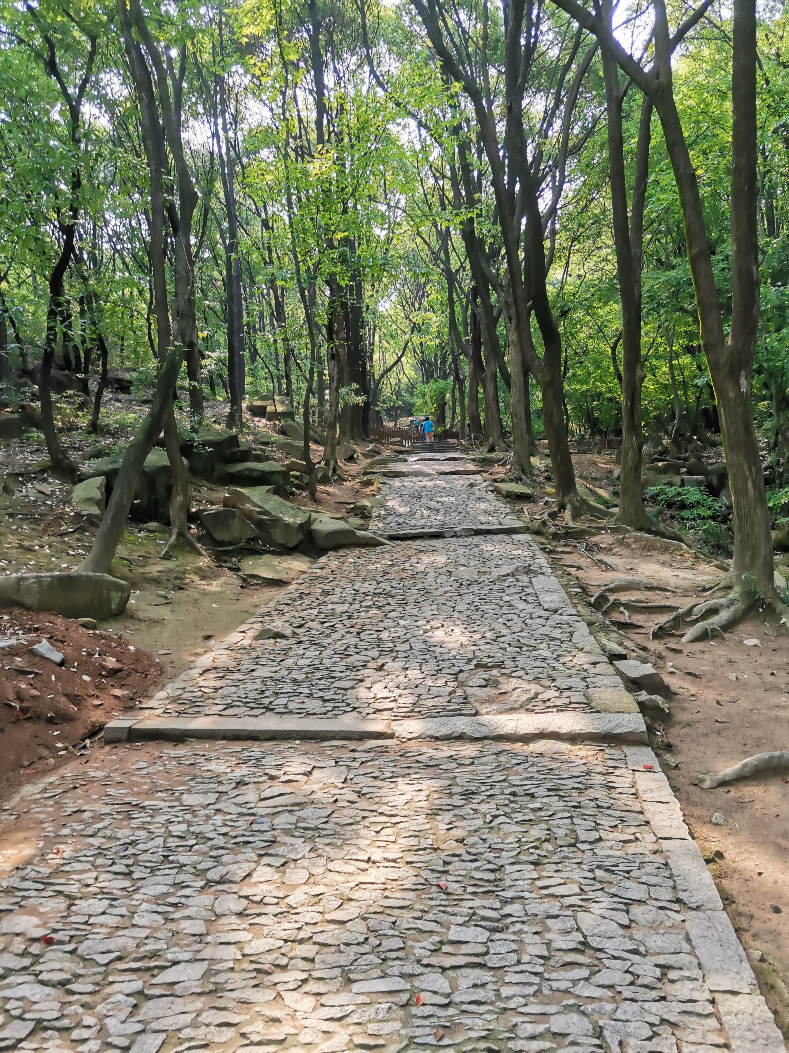 天池山景区和天池山影视基地,天池山影视基地到天池山景区