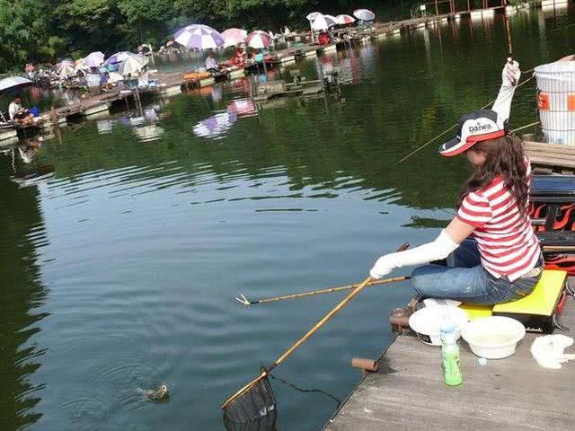 并继鱼竿和振出竿区别,振出式鱼竿和并继式鱼竿哪个好