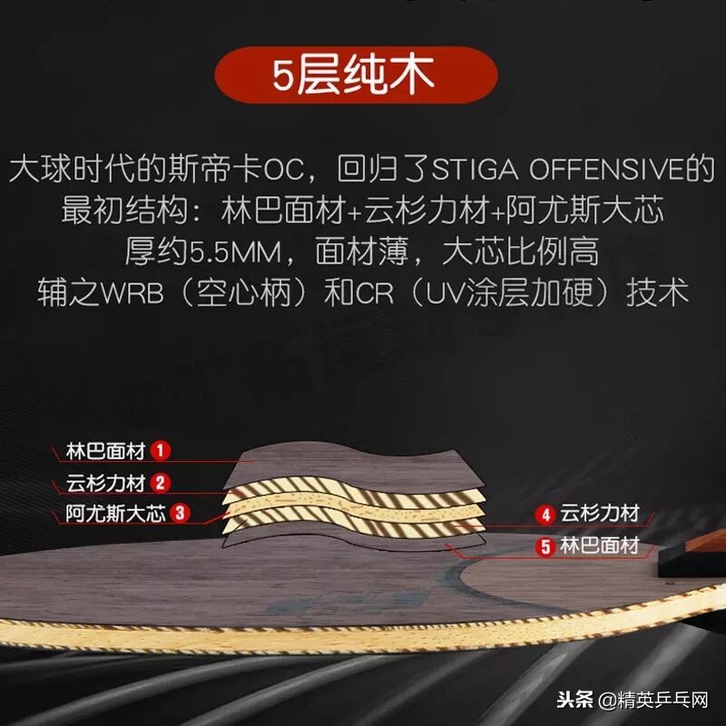 国产器材也有春天，细数国产五夹纯木底板的“当红花旦”们！