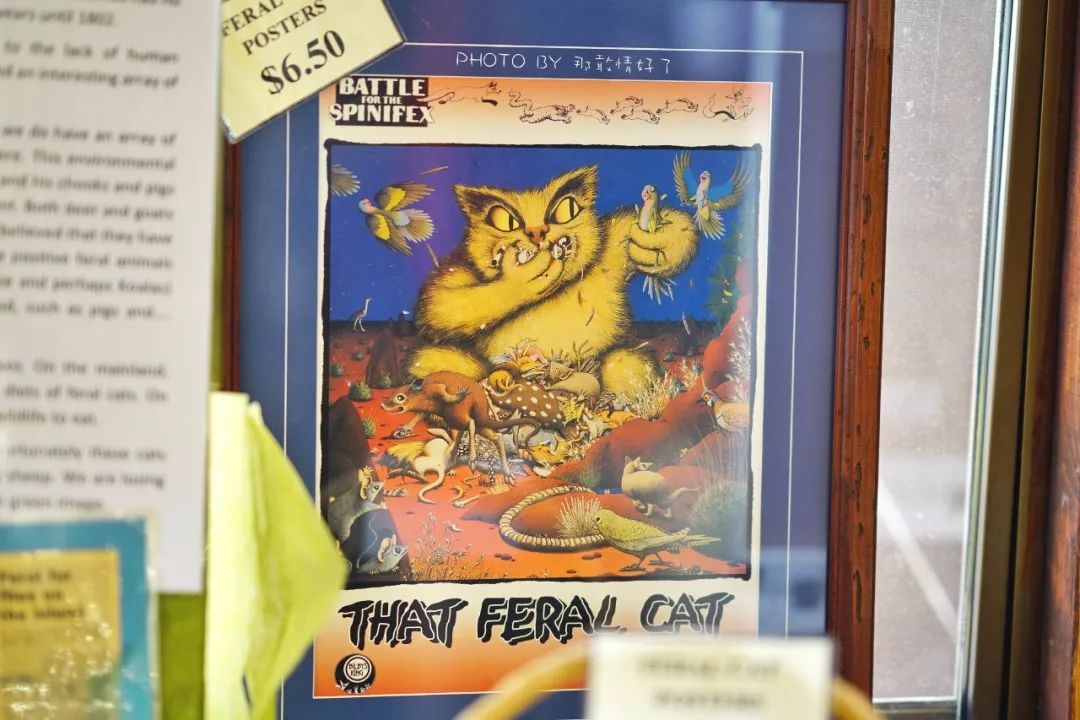 赴澳旅游注意,若带蜂蜜制品上岛,将被判两年监禁或8000澳元罚款