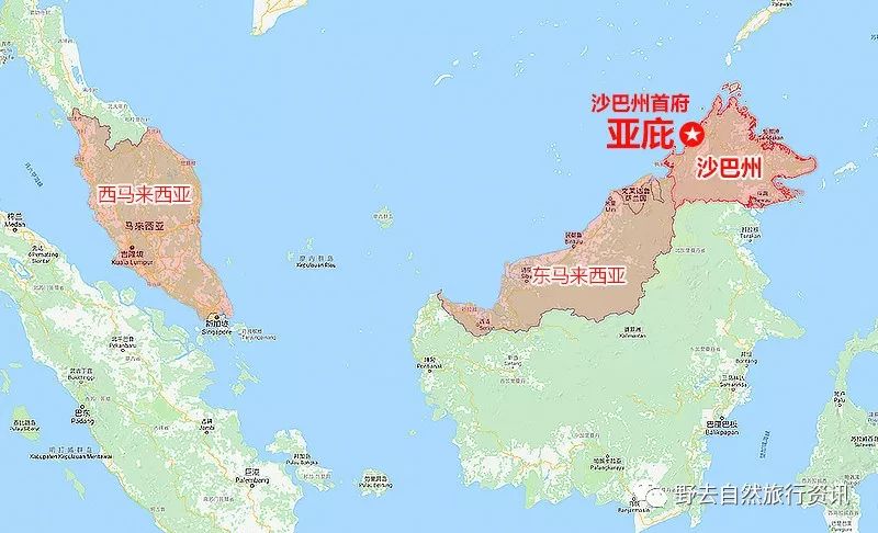 待疫情平息,和孩子一起探索“失落的世界”婆罗洲原始雨林