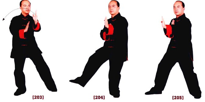 咏春拳标指教学视频,咏春拳低膀手法