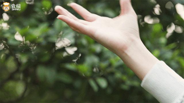 燕塘牛奶开店,燕塘牛奶最新事件