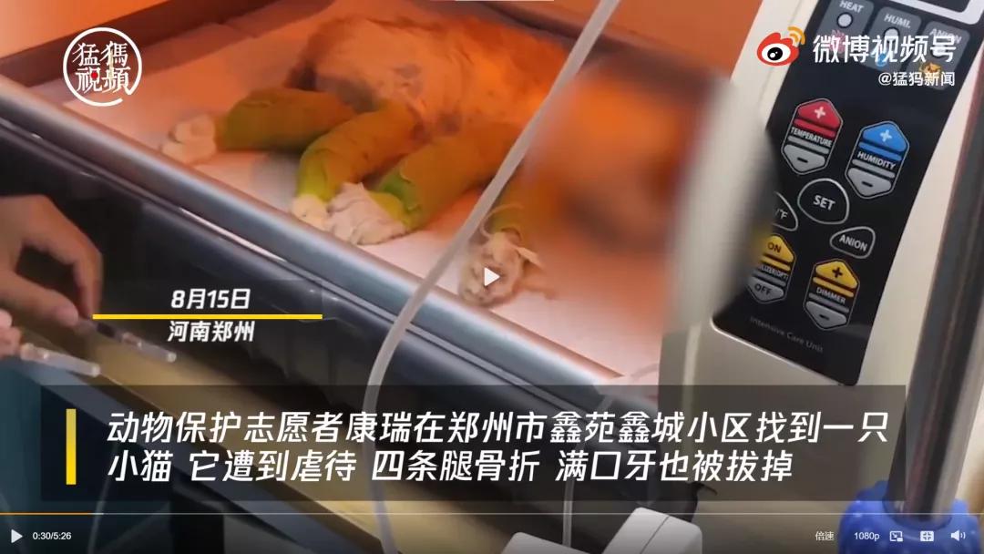 让人难过的不是吃食而是压抑,让人气愤的饮食片段