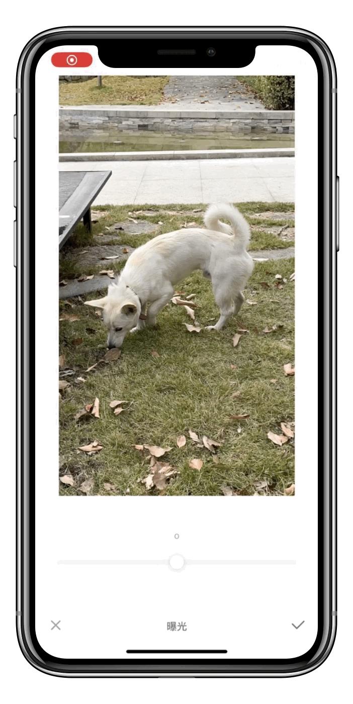 一招教你拯救废片视频,教你一秒拯救废片