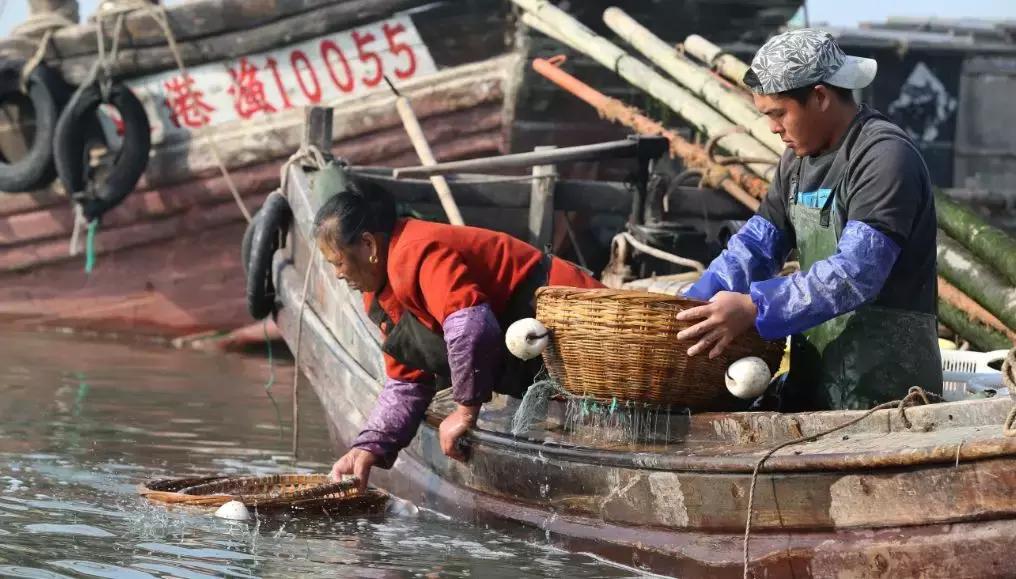 欢迎来连云港吃海鲜,连云港哪里吃海鲜便宜又实惠贴吧
