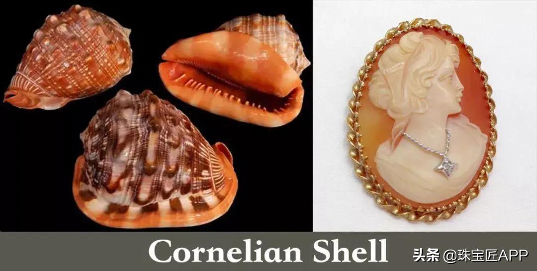 贝壳手工珠宝首饰,贝壳珠宝有哪些