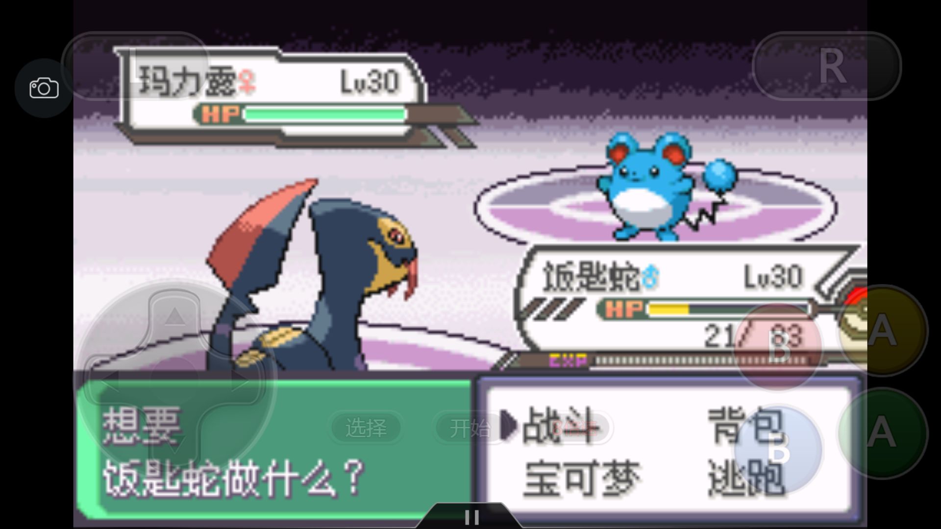 究极绿宝石5一周目攻略,究极绿宝石一周目神兽攻略