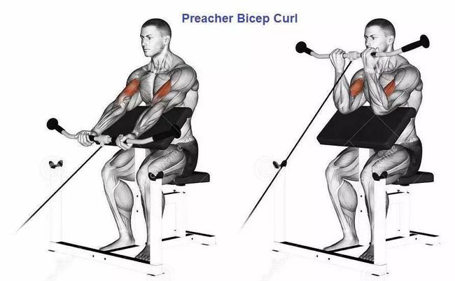 肌肉男神高颜值,肌肉男神健美