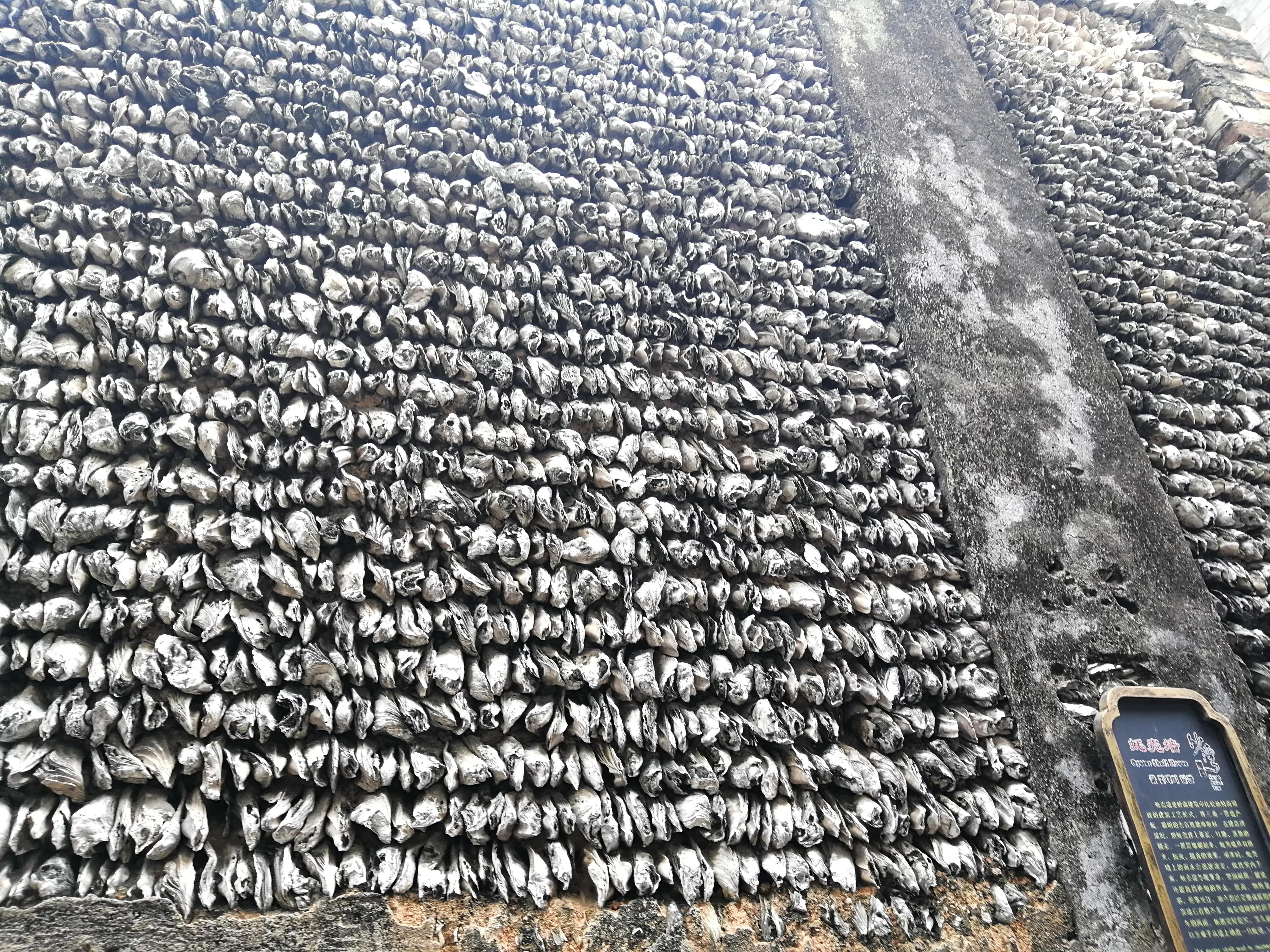 番禺南站旅游攻略,广州3号线地铁番禺旅游攻略