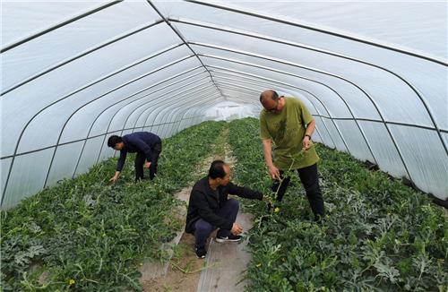 我们村里最熟悉的人,我们村里最熟悉的陌生人宣传活动