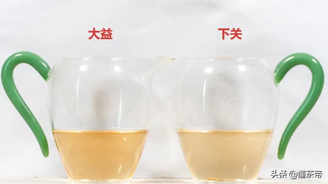 沱茶熟茶好与差对比,沱茶评测下关vs大益你更看好谁