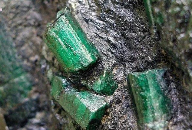 富豪为什么都喜欢明星,你知道富豪都玩什么吗