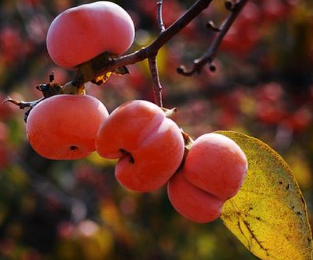 翻脸不认人的人最可怕,人生我们要学会翻脸不认人