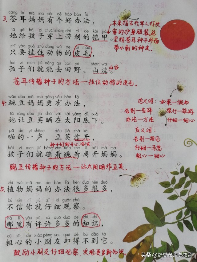 植物妈妈有办法二年级上册练习题,植物妈妈有办法二年级课文读后感