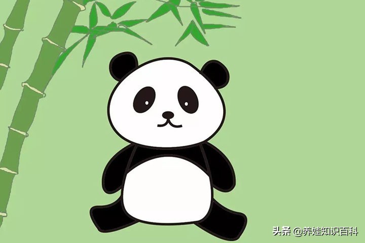 熊猫怎么画最简单儿童,熊猫怎么画超级简单一学就会