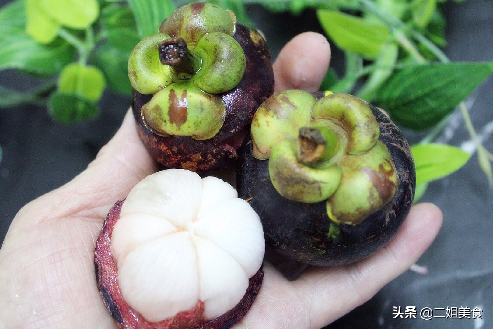 山竹怎么挑选儿童吃,新鲜山竹肉多核少