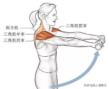 肩部必练动作,五个动作帮你锻炼肩