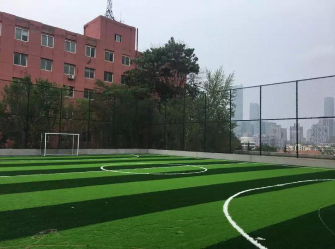 西岗体育馆室内足球场,西岗区新增地块